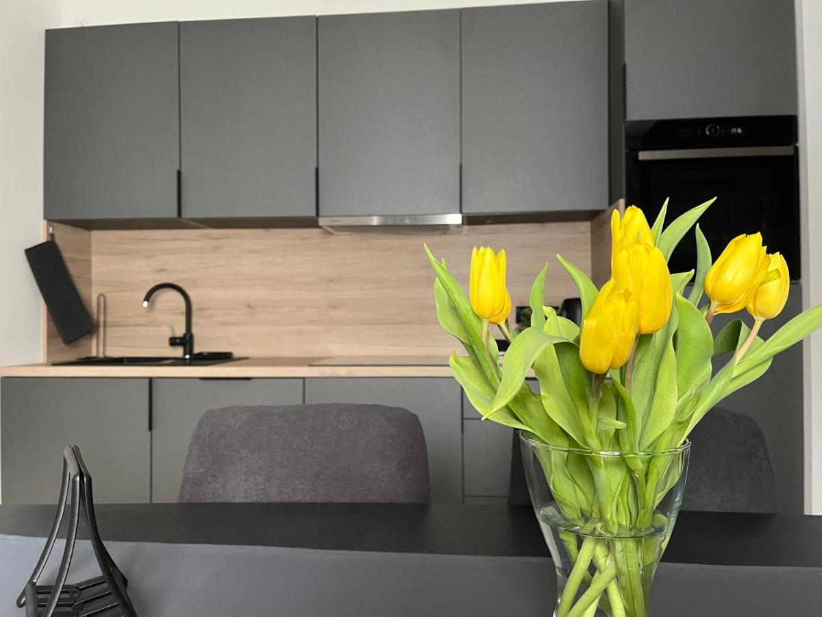 Apartment Kammi 자그레브 외부 사진